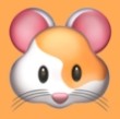 蜜瓜视频下载官方版APP应用