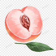 WWW,814av·COM网站APPAPP应用