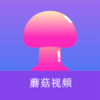 WWW,208av·COM网站APPAPP应用